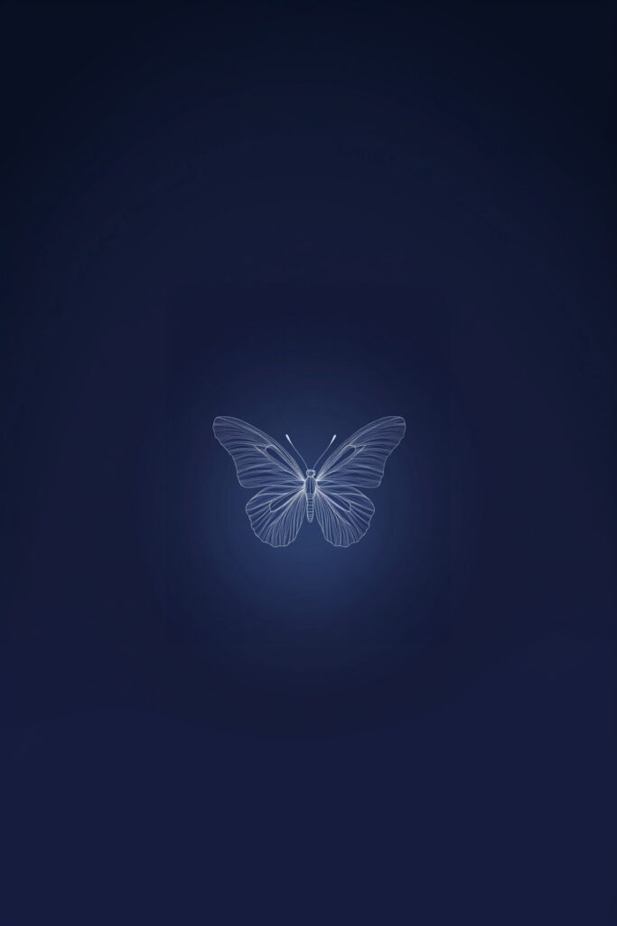 blue butterfly walllpapers - 11