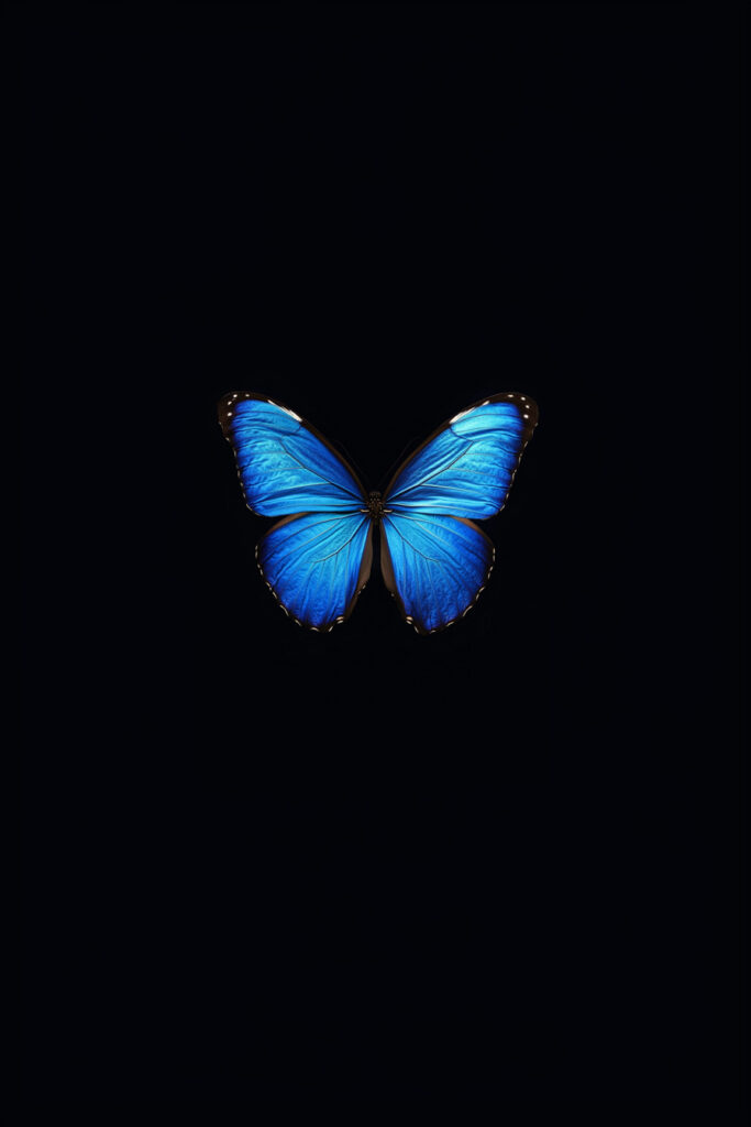 blue butterfly walllpapers - 17