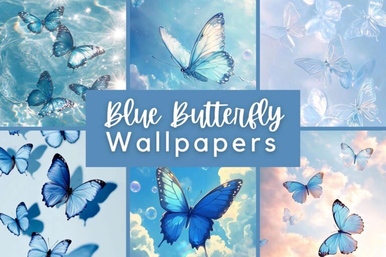 20 Breathtaking Blue Butterfly Wallpapers